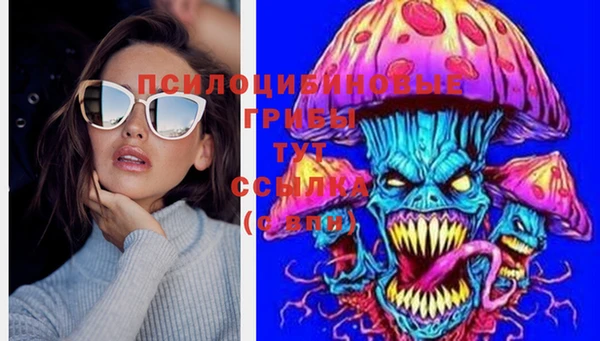 МДПВ Абинск